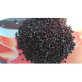 Nylon 6 Granule